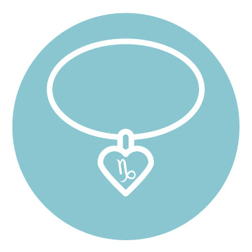 Capricorn Jewelry
