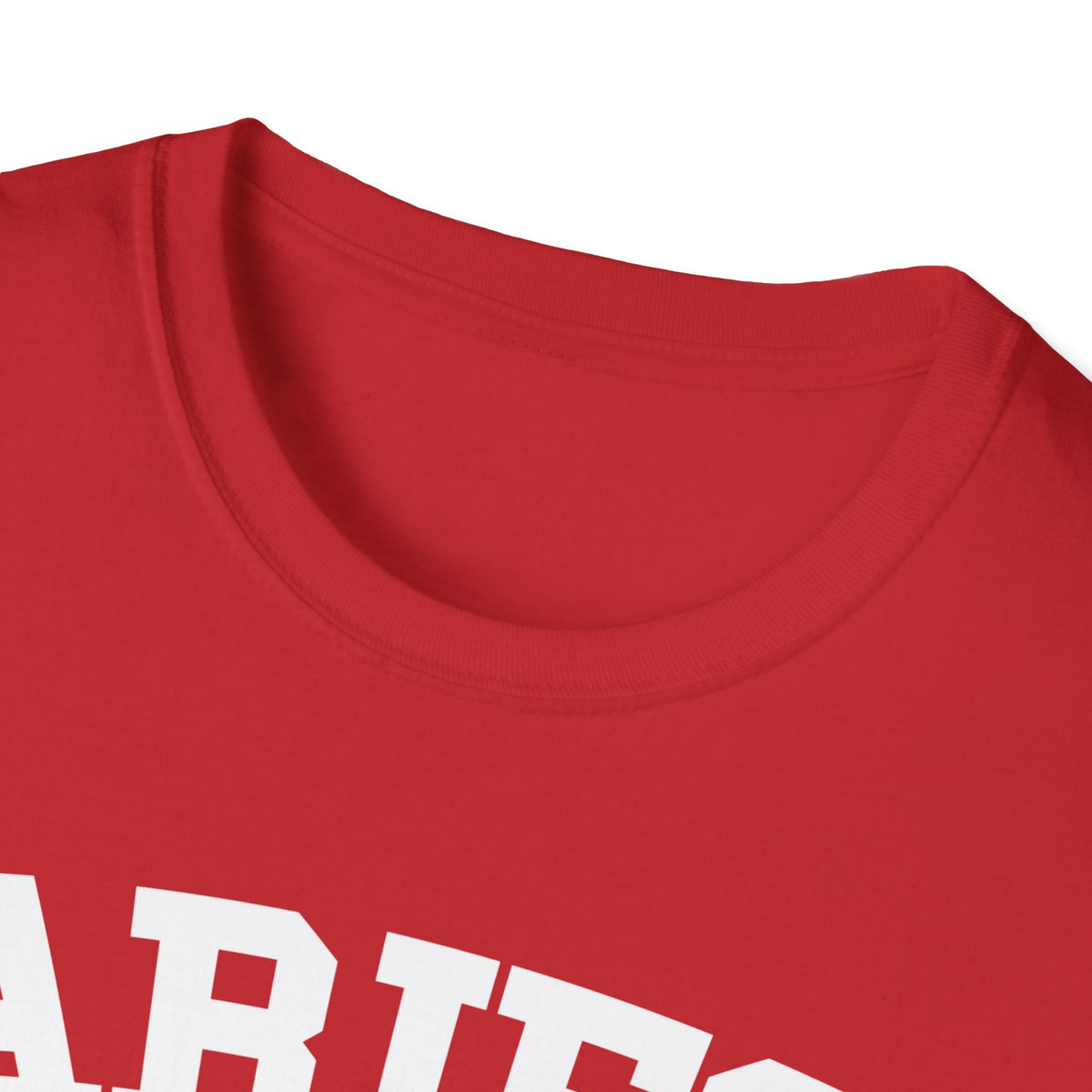 Aries Collegiate Shirt