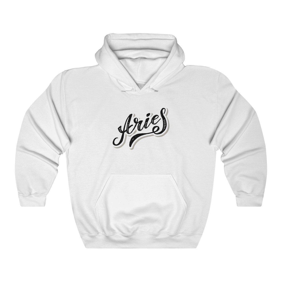 Aries Pennant Hoodie