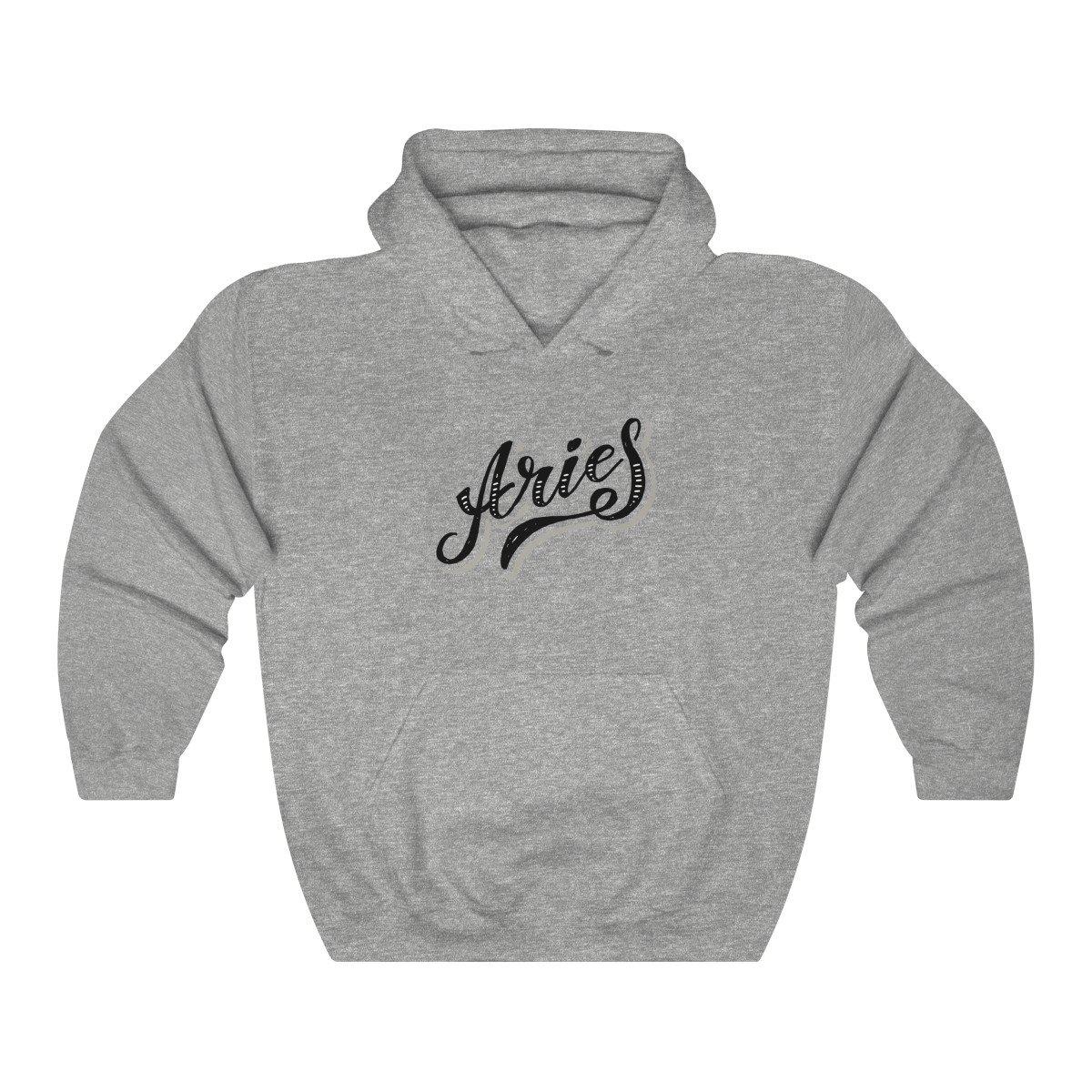 Aries Pennant Hoodie